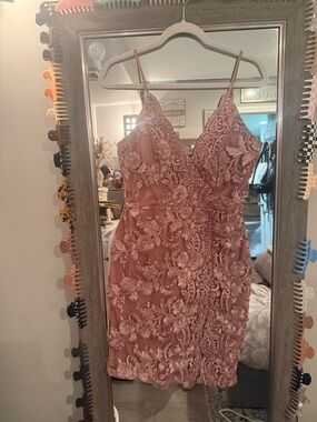 Windsor Dusty Rose Lace Embroidered Mini Dress